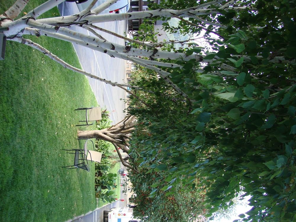 Silver Spruce Inn Glenwood Springs Exterior photo