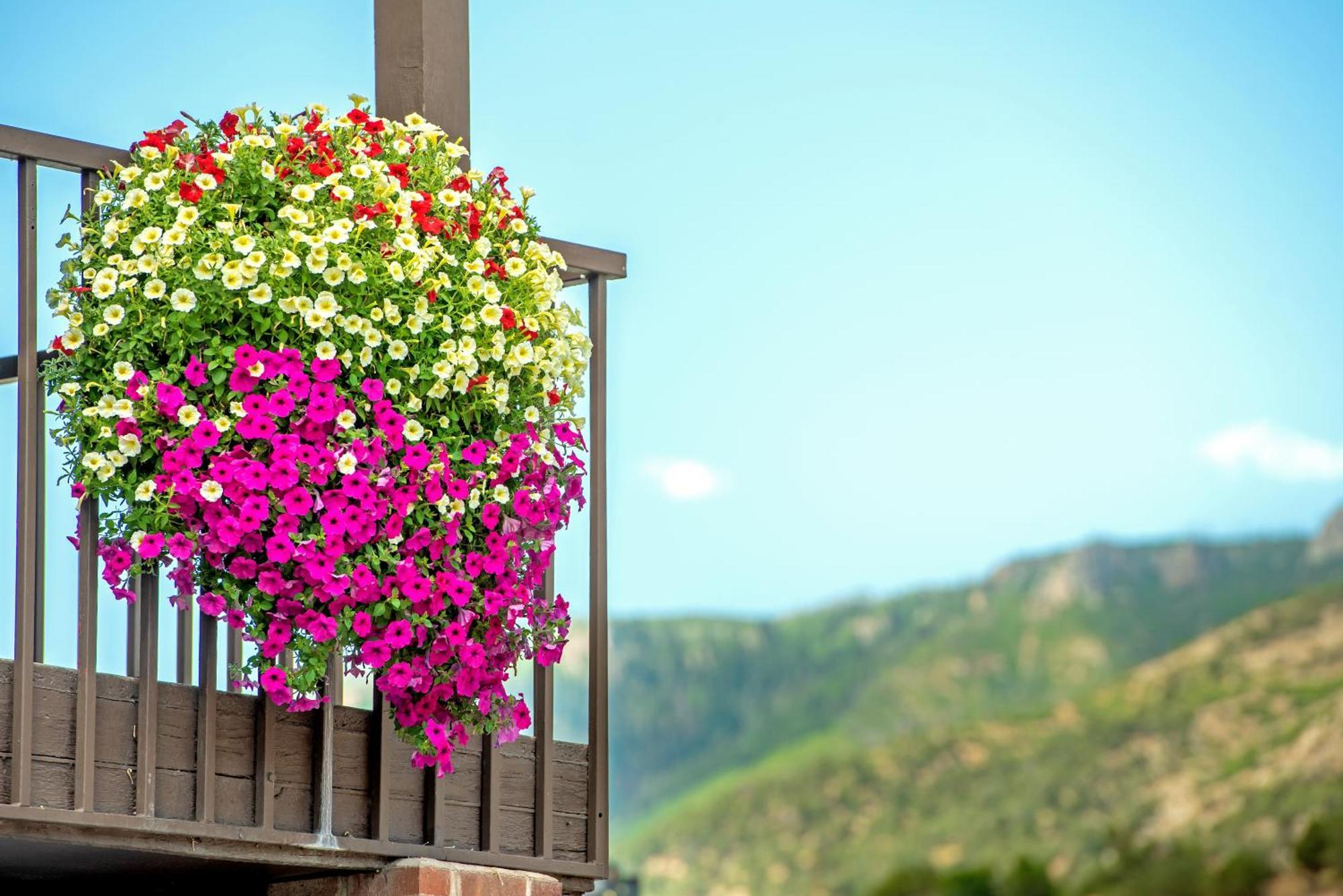 Silver Spruce Inn Glenwood Springs Exterior photo